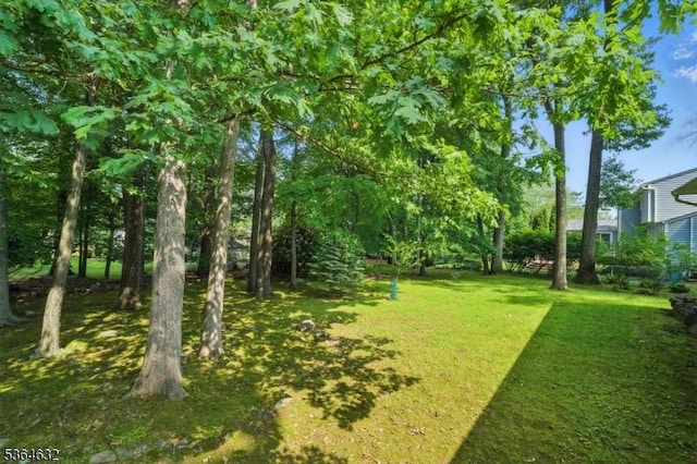 89 Fieldcrest Rd, Parsippany-Troy Hills Twp, NJ 07054 - view of green lawn
