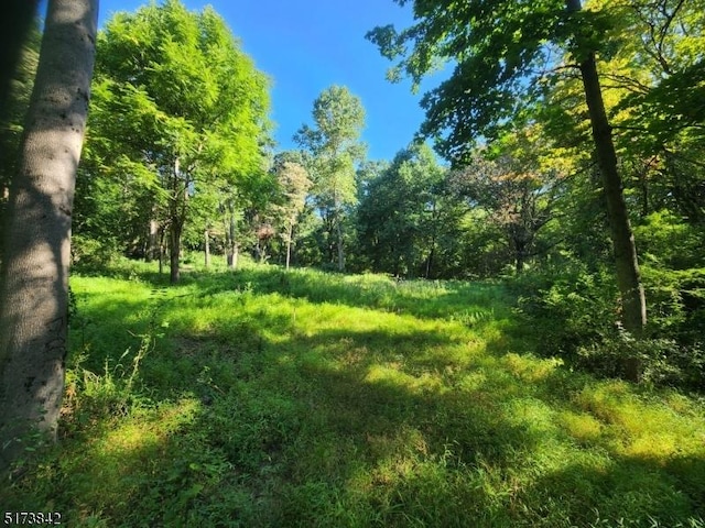 130 Harding Dr, Washington Twp, NJ 07882