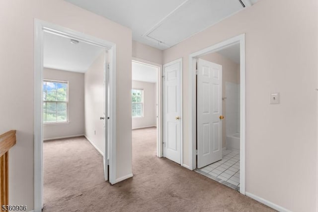 26 Allison Ct, South Brunswick Twp, NJ 08852 - hallway with attic access, carpet floors, and healthy amount of natural light