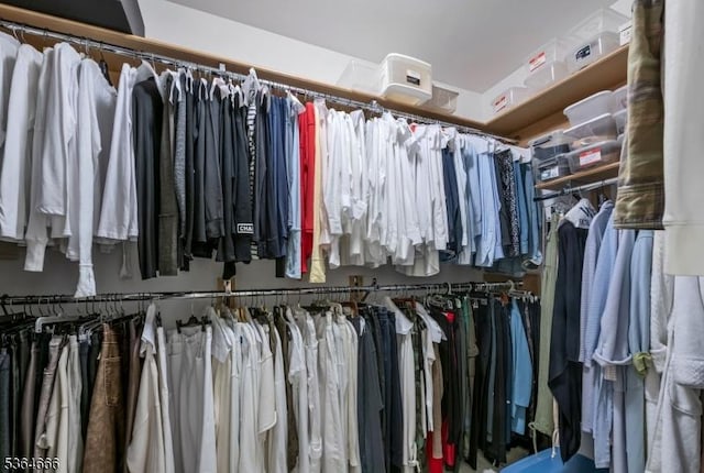 19 Whitney Farm Pl, Morris Twp, NJ 07960 - view of walk in closet