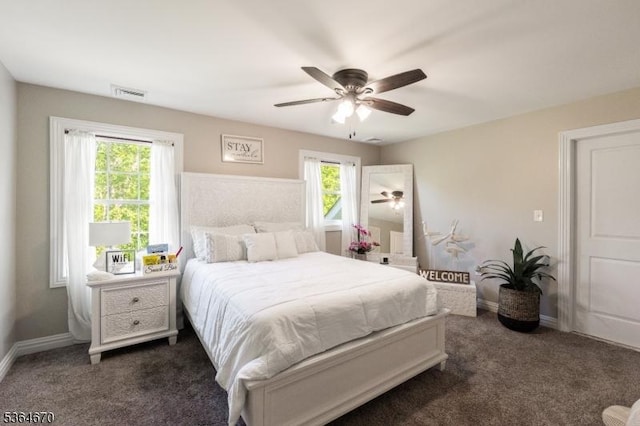 56 Rainbow Hill Rd, East Amwell Twp, NJ 08822 - bedroom with dark carpet and a ceiling fan