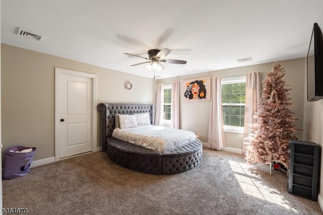 56 Rainbow Hill Rd, East Amwell Twp, NJ 08822 - bedroom featuring carpet and ceiling fan