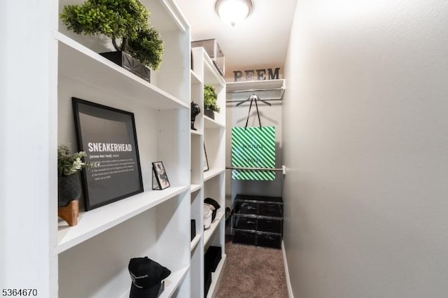56 Rainbow Hill Rd, East Amwell Twp, NJ 08822 - walk in closet with carpet flooring