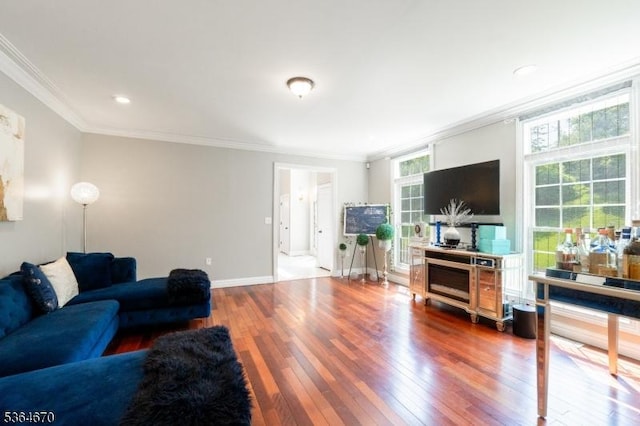 56 Rainbow Hill Rd, East Amwell Twp, NJ 08822 - living room with crown molding and hardwood / wood-style flooring