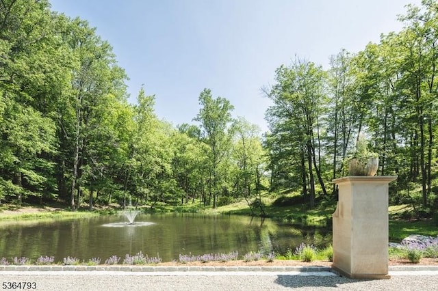 171 Campbell Rd, Bernardsville Boro, NJ 07924 - water view with a heavily wooded area