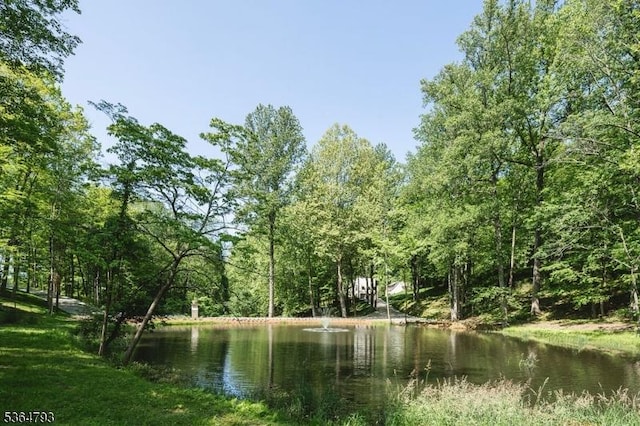 171 Campbell Rd, Bernardsville Boro, NJ 07924 - water view featuring a forest