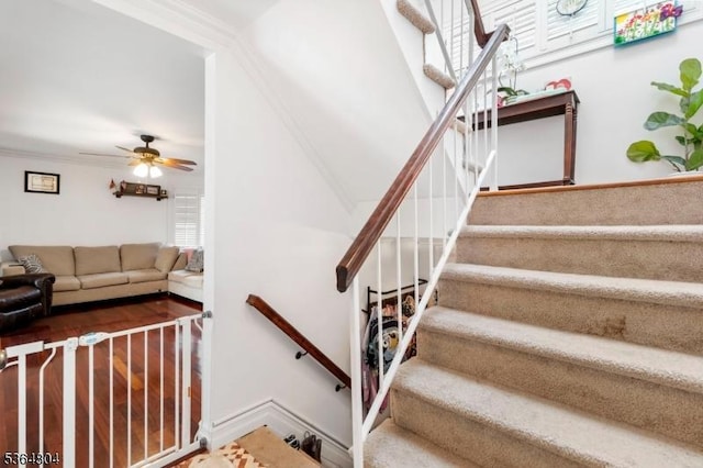 27 Delbarton Ct, Washington Twp, NJ 07840 - stairs featuring ceiling fan and ornamental molding