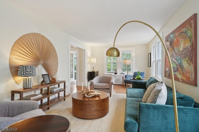 26 Saint Lawrence Ave, Maplewood Twp, NJ 07040 - living area featuring wood finished floors and radiator heating unit
