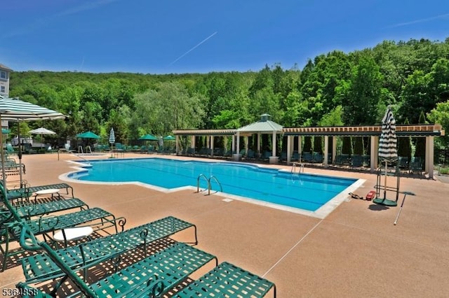1409 Warrens Way Unit 1409, Wanaque Boro, NJ 07465 - community pool featuring a wooded view and a patio