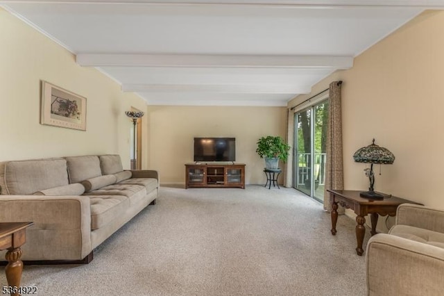 263 Bellemead Griggstown Rd, Montgomery Twp, NJ 08502 - living area featuring beam ceiling and carpet