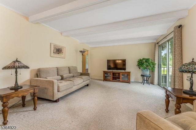 263 Bellemead Griggstown Rd, Montgomery Twp, NJ 08502 - living area with carpet floors and beamed ceiling