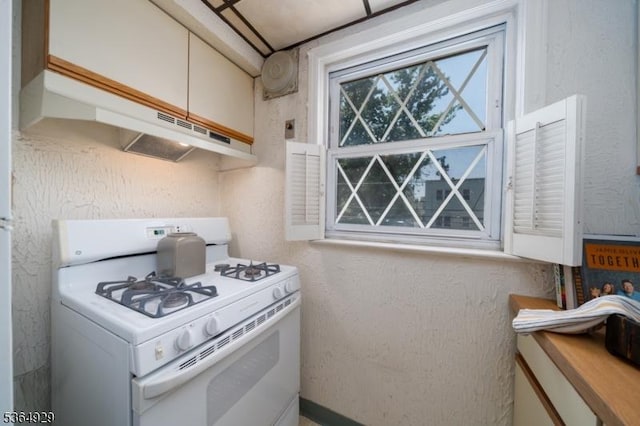 317 Stevens Ave, Jersey City, NJ 07305 - kitchen featuring white range with gas stovetop and under cabinet range hood