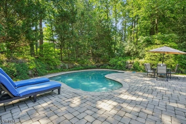 82 Mohawk Rd, Millburn Twp, NJ 07078 - swimming pool featuring a patio area