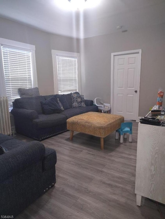 341 N Grove St, East Orange City, NJ 07017 - living area featuring wood finished floors