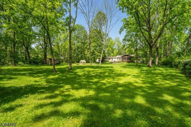 25 Old Turnpike Rd, Washington Twp, NJ 07865 - view of green lawn with an outdoor structure