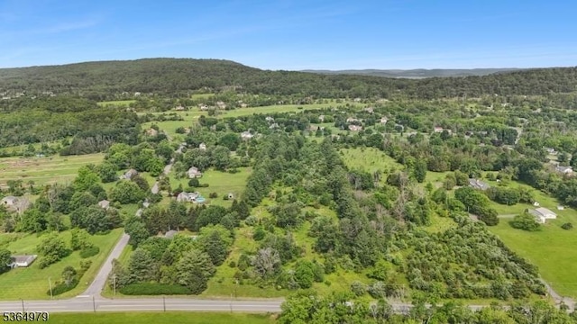 621A Rt 523, Readington Twp, NJ 08889