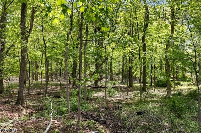 944 Orange Ave, Cranford Twp, NJ 07016 - view of wooded area