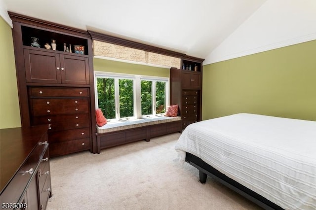 16 Forest Dr, Hampton Twp, NJ 07860 - bedroom with lofted ceiling and light colored carpet