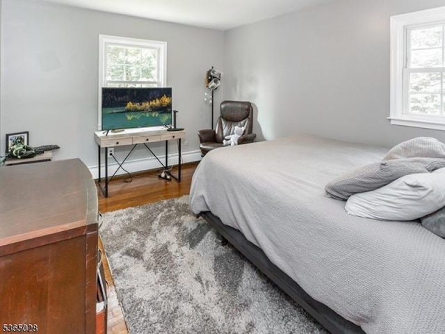 16 Seneca Trl, Randolph Twp, NJ 07869 - bedroom featuring multiple windows and wood finished floors