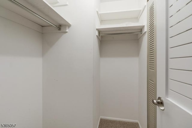 44 Sam Bonnell Dr, Union Twp, NJ 08809 - walk in closet featuring carpet flooring