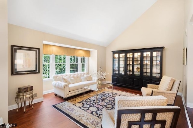3310 Round Hill Rd, Branchburg Twp, NJ 08876 - living area featuring wood finished floors and high vaulted ceiling