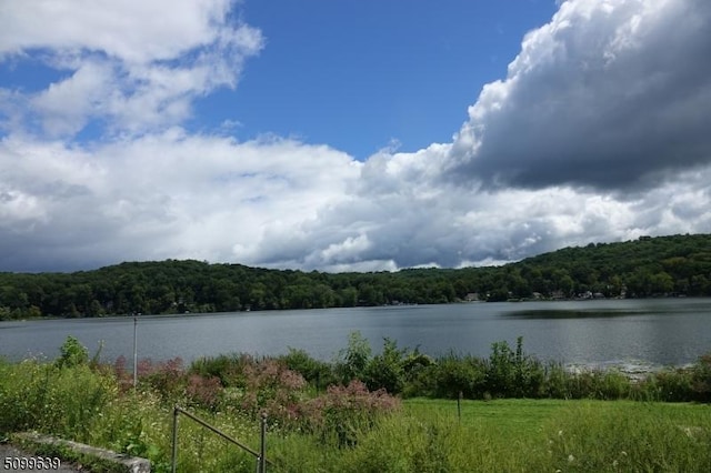 142 Lakeside Dr, Liberty Twp, NJ 07823 - water view with a heavily wooded area