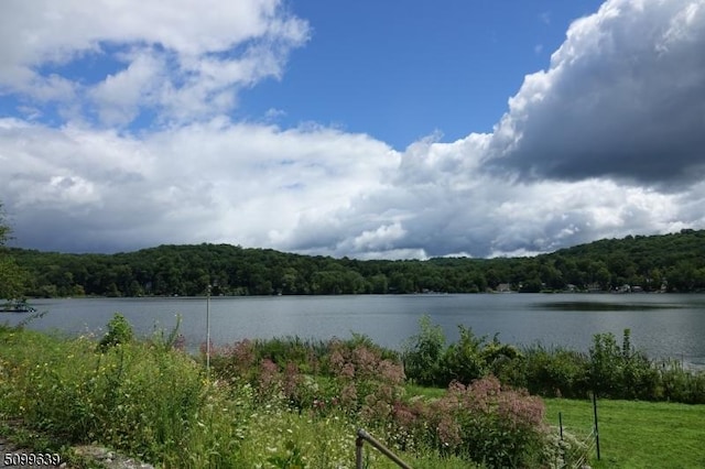 142 Lakeside Dr, Liberty Twp, NJ 07823 - water view with a heavily wooded area
