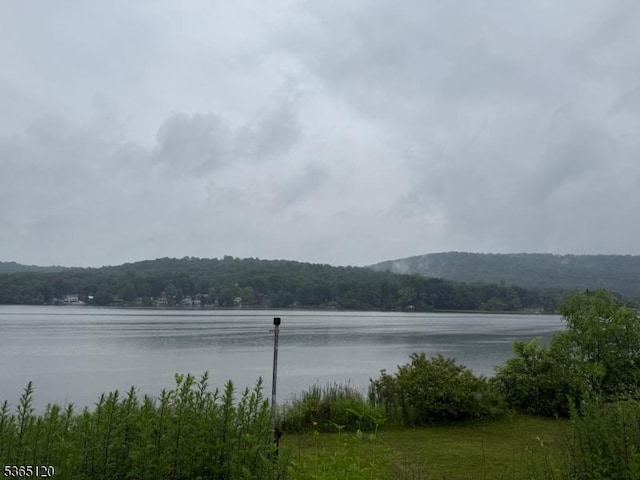 142 Lakeside Dr, Liberty Twp, NJ 07823 - water view featuring a forest