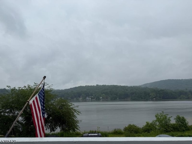 142 Lakeside Dr, Liberty Twp, NJ 07823 - water view featuring a forest