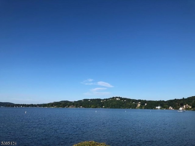76 Hillside Rd, Sparta Twp, NJ 07871 - water view