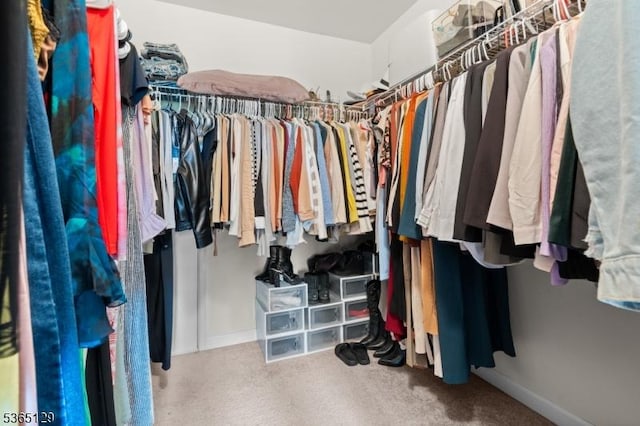 176 Randolph Ave, Mine Hill Twp, NJ 07803 - spacious closet featuring carpet