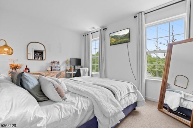 176 Randolph Ave, Mine Hill Twp, NJ 07803 - bedroom featuring multiple windows and carpet flooring