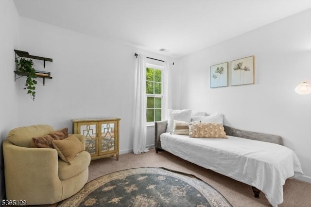 176 Randolph Ave, Mine Hill Twp, NJ 07803 - carpeted bedroom with baseboards