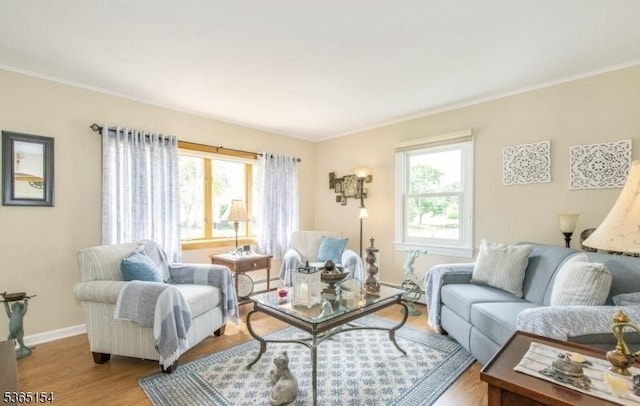 425 Broadway, Pompton Lakes Boro, NJ 07442 - living area featuring healthy amount of natural light, wood finished floors, ornamental molding, and a baseboard radiator