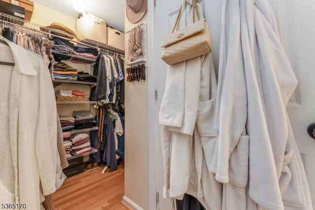 149 Wingate Dr, Independence Twp, NJ 07840 - spacious closet with light wood-style floors
