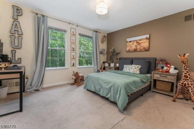 149 Wingate Dr, Independence Twp, NJ 07840 - carpeted bedroom with baseboards