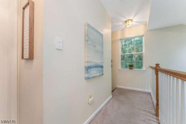 149 Wingate Dr, Independence Twp, NJ 07840 - hallway with carpet flooring and baseboards