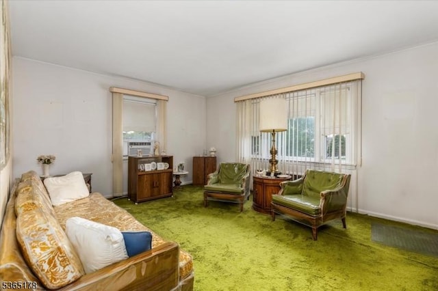 267 William St, Belleville Twp, NJ 07109 - living area with carpet flooring