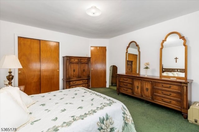 267 William St, Belleville Twp, NJ 07109 - bedroom featuring dark colored carpet and a closet