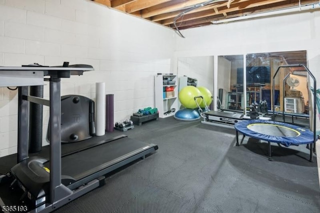 9 Mahogany Way, Randolph Twp, NJ 07869 - exercise area with concrete block wall