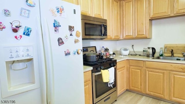 228 Windmill Ct, Lopatcong Twp, NJ 08865 - kitchen with stainless steel appliances, light countertops, and light wood finished floors