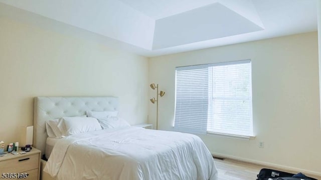 228 Windmill Ct, Lopatcong Twp, NJ 08865 - bedroom with multiple windows, light wood-type flooring, and a raised ceiling