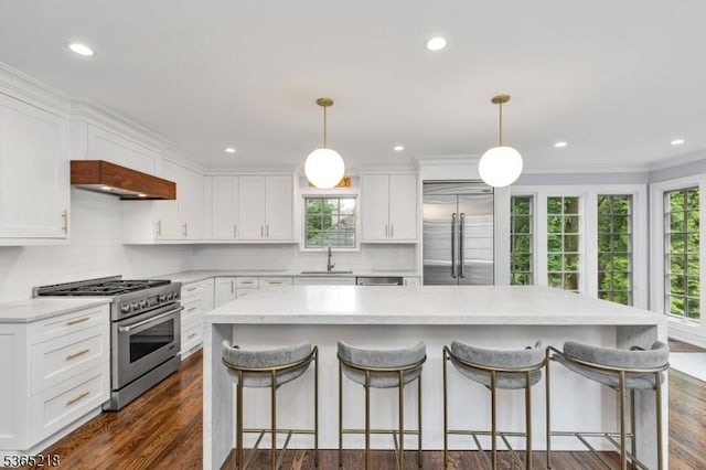 95 Green Ave, Madison Boro, NJ 07940 - kitchen with high quality appliances, plenty of natural light, white cabinetry, dark wood-style flooring, and recessed lighting