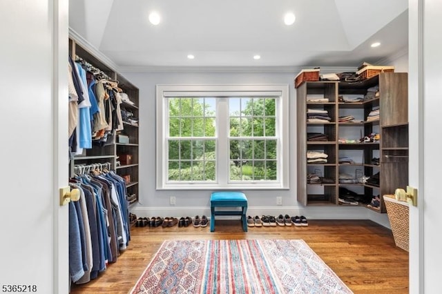 95 Green Ave, Madison Boro, NJ 07940 - spacious closet with wood finished floors