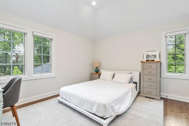 95 Green Ave, Madison Boro, NJ 07940 - bedroom with wood finished floors, multiple windows, and vaulted ceiling