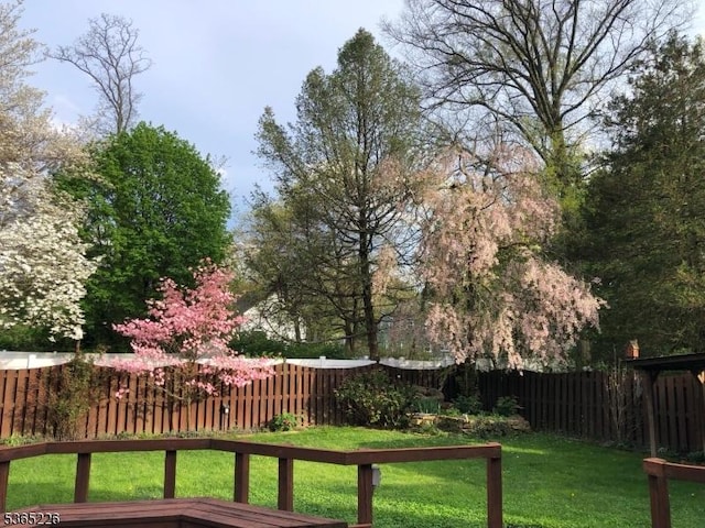 2538 Mountain Ave, Scotch Plains Twp, NJ 07076 - view of fenced backyard
