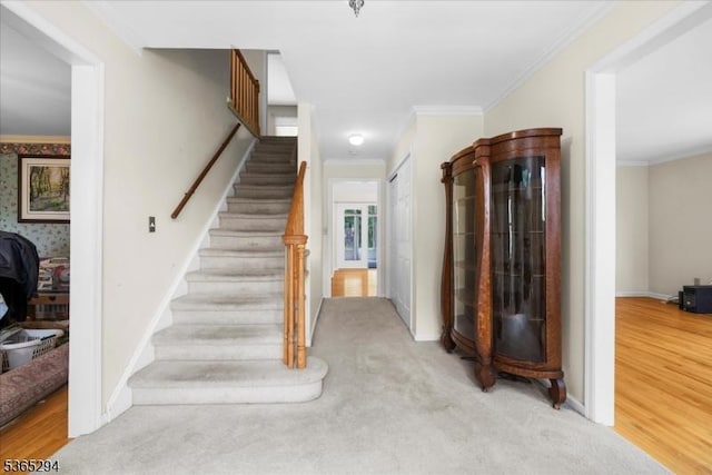 10 Duke Ct, Franklin Twp, NJ 08867 - stairway featuring ornamental molding and carpet floors