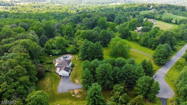 10 Duke Ct, Franklin Twp, NJ 08867 - bird's eye view of a heavily wooded area