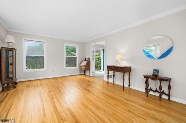 10 Duke Ct, Franklin Twp, NJ 08867 - living area featuring light wood-style floors and ornamental molding