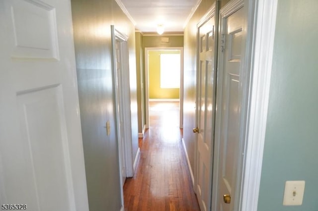 573 Conant St, Hillside Twp, NJ 07205 - hall featuring dark wood-type flooring and ornamental molding